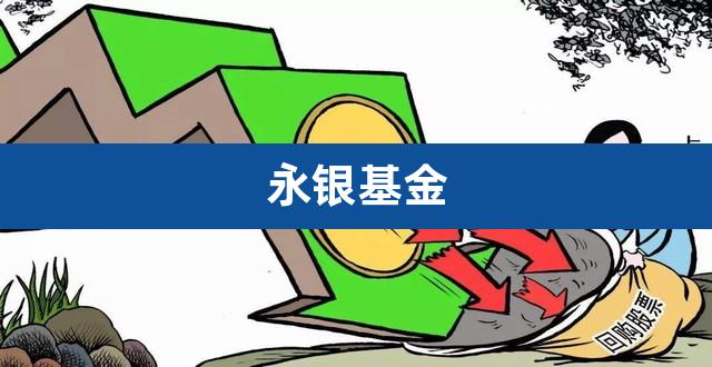 永银基金(永赢基金发展好吗)