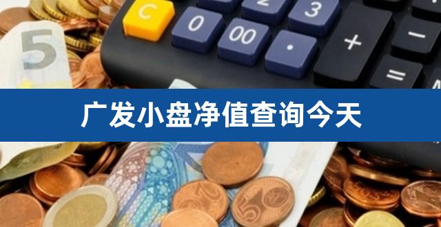 广发小盘净值查询今天（001127基金净值查询） 