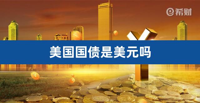 美国国债是美元吗（美国国债发行量） 