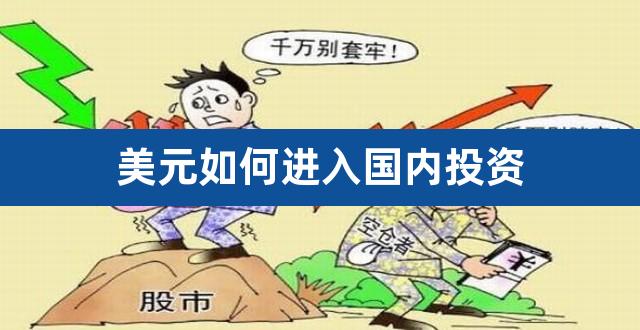 美元如何进入国内投资（境外资金入境审批流程） 