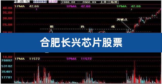 合肥长兴芯片股票(国产芯片龙头股票一览)