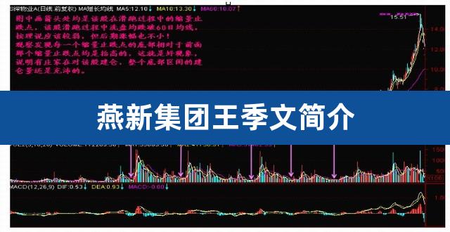 燕新集团王季文简介（加氢站建设第一股） 