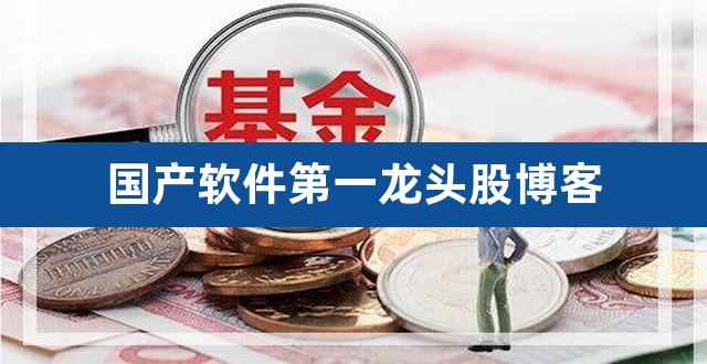 国产软件第一龙头股博客（国产软件龙头股票一览） 