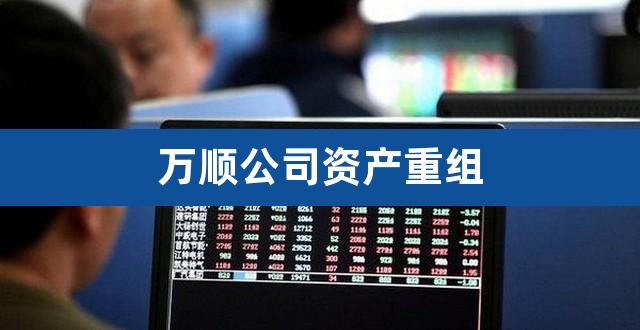万顺公司资产重组（万顺股份杜成城） 