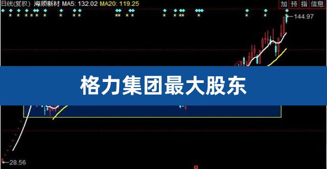 格力集团最大股东（格力集团股东占股比例） 