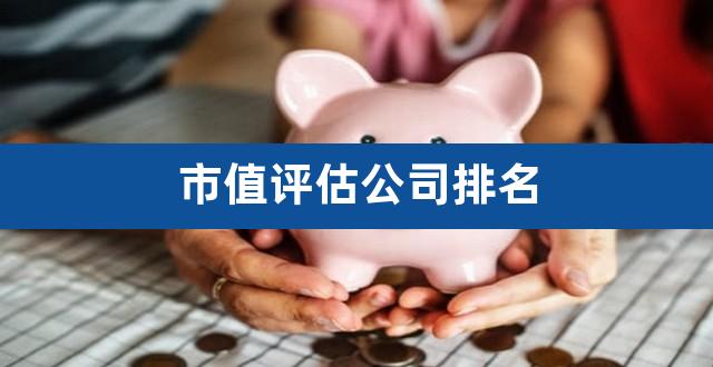 市值评估公司排名(全球十大市值公司排名)
