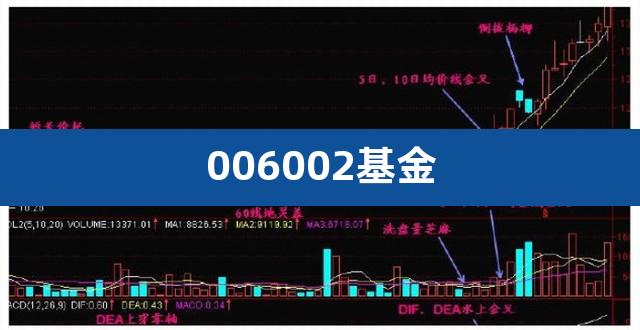 006002基金（009661基金净值） 