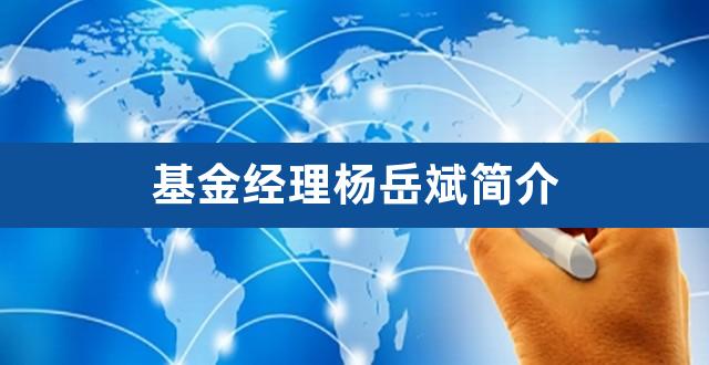 基金经理杨岳斌简介（900099基金净值） 