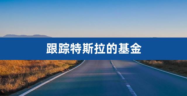 跟踪特斯拉的基金（国内重仓特斯拉的基金） 
