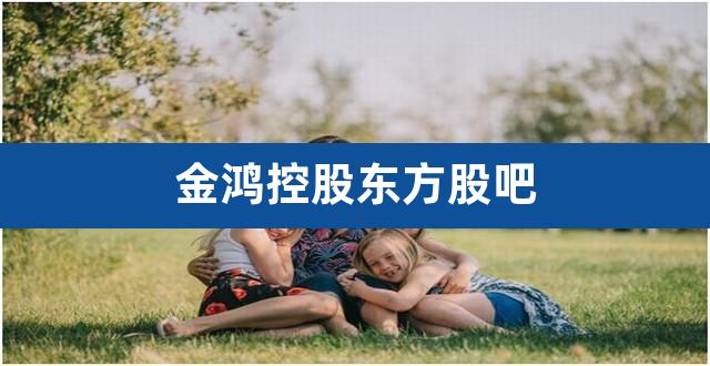 金鸿控股东方股吧（st金鸿还能继续持有么） 