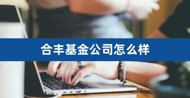 合丰基金公司怎么样（基金公司好进吗） 