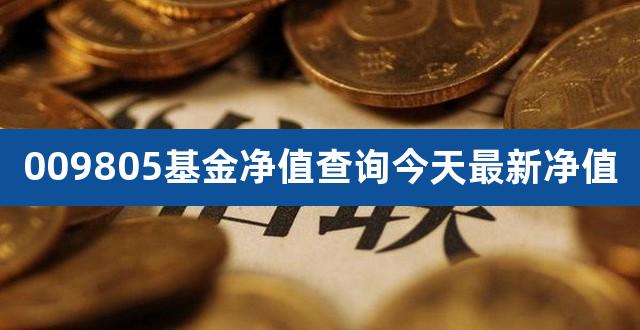 009805基金净值查询今天最新净值（009805基金封闭期多久） 