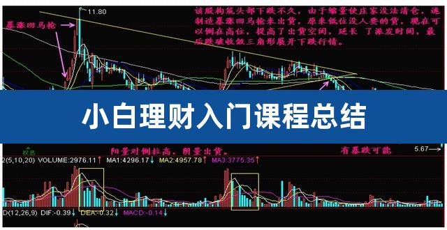 小白理财入门课程总结（12元小白理财课程真相） 