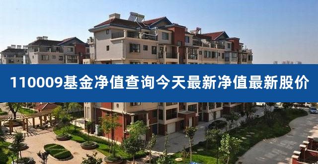 110009基金净值查询今天最新净值最新股价（大成2020分红情况） 