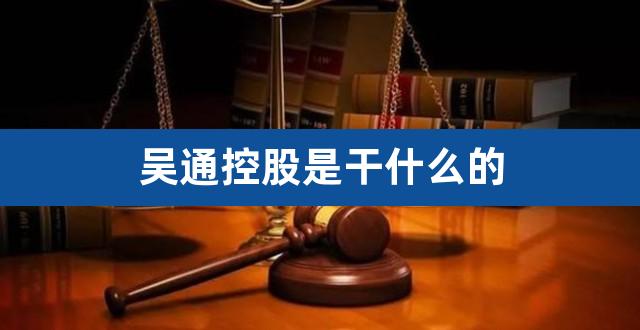 吴通控股是干什么的（欣龙控股是做什么的） 