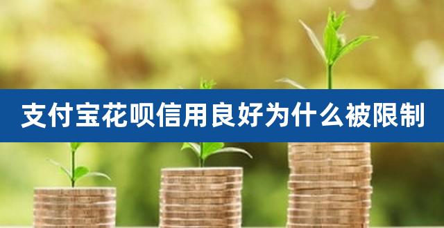 支付宝花呗信用良好为什么被限制（花呗信用分在哪里看） 