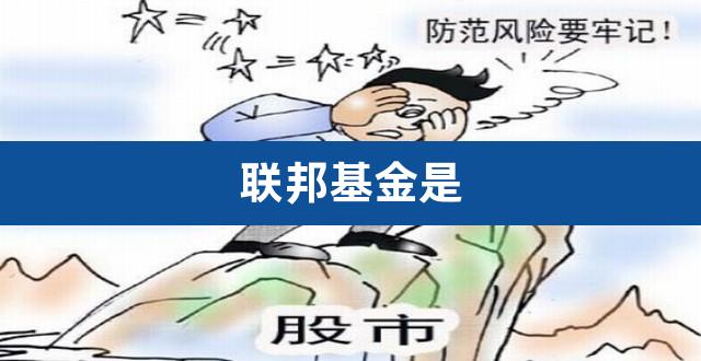 联邦基金是（联邦基金是谁发行的） 