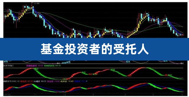 基金投资者的受托人（公司型基金的基金合同是） 