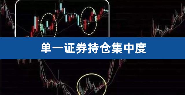 单一证券持仓集中度（融资融券单一证券集中度） 