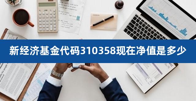 新经济基金代码310358现在净值是多少（166109基金净值天天基金） 
