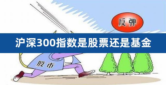 沪深300指数是股票还是基金（沪深300基金买的是股票吗） 