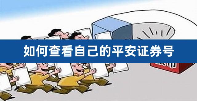 如何查看自己的平安证券号（平安证券怎样看全账号） 