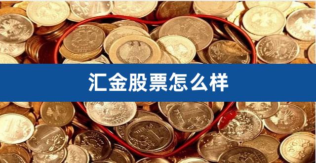 汇金股票怎么样（汇金集团） 