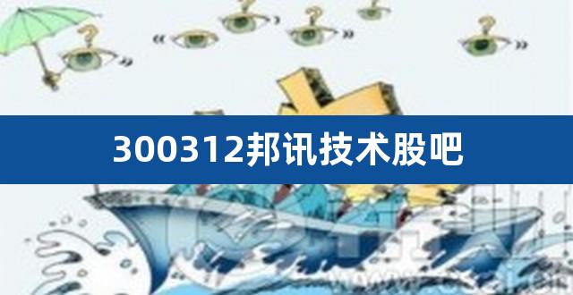 300312邦讯技术股吧（002740爱迪尔股吧） 