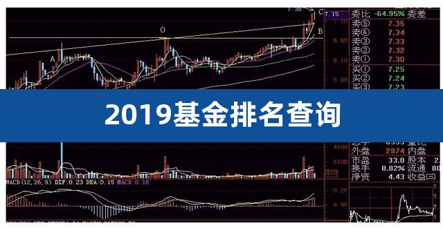 2019基金排名查询（目前基金排名） 