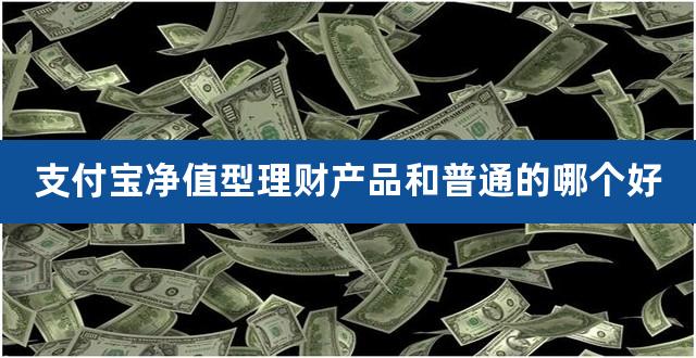 支付宝净值型理财产品和普通的哪个好（中低风险的理财靠谱吗） 