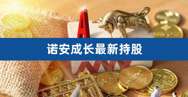 诺安成长最新持股（诺安新经济股票） 