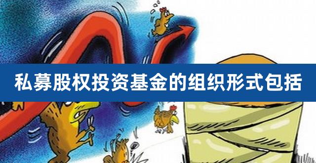 私募股权投资基金的组织形式包括（买私募股权基金） 