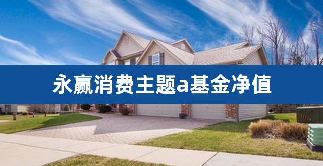 永赢消费主题a基金净值(永赢基金排名)