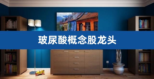 玻尿酸概念股龙头(林园重仓的医药股有哪些)