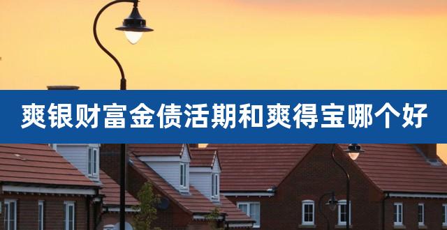 爽银财富金债活期和爽得宝哪个好（50万买爽得宝一天多少收益） 