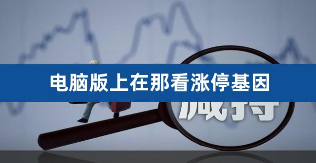 电脑版上在那看涨停基因（涨停基因选股） 