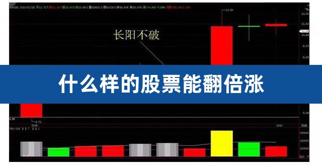 什么样的股票能翻倍涨（一直涨的股票） 