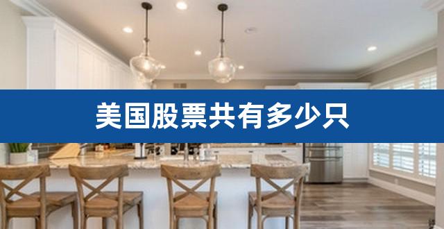 美国股票共有多少只（美股成交金额哪里能看到） 