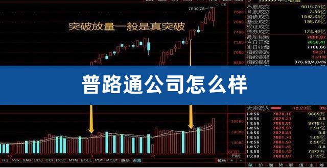 普路通公司怎么样（普路通给小米提供什么） 
