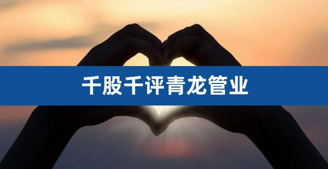 千股千评青龙管业(青龙管业股吧)