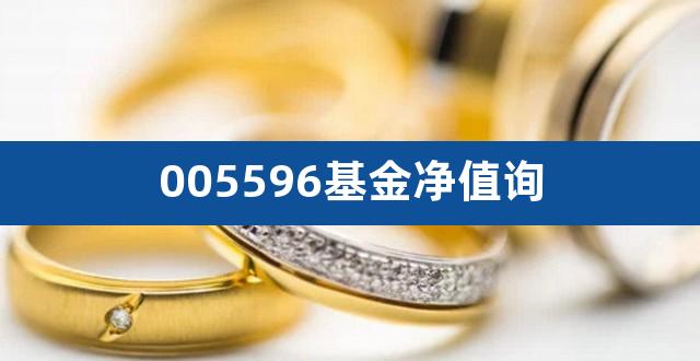 005596基金净值询（000526基金净值） 