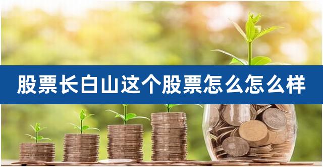 股票长白山这个股票怎么怎么样（长春经开股票） 