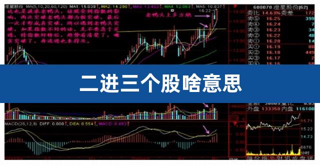 二进三个股啥意思(龙头股是什么意思意思)