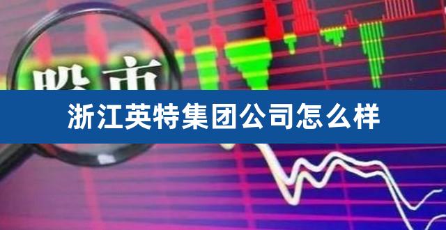 浙江英特集团公司怎么样（英特集团公司简介） 