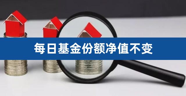 每日基金份额净值不变（基金净值每年会复位吗） 