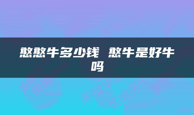 憨憨牛多少钱 憨牛是好牛吗