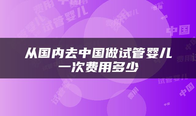从国内去中国做试管婴儿一次费用多少