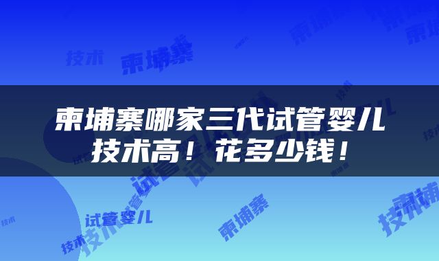 柬埔寨哪家三代试管婴儿技术高！花多少钱！