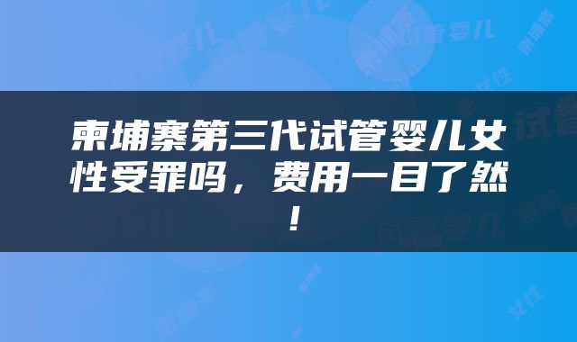 柬埔寨第三代试管婴儿女性受罪吗，费用一目了然！