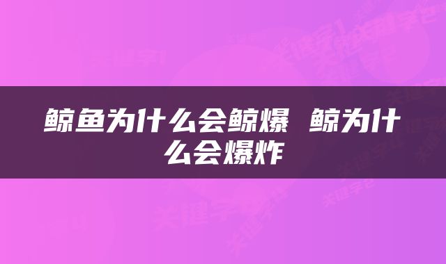 鲸鱼为什么会鲸爆 鲸为什么会爆炸